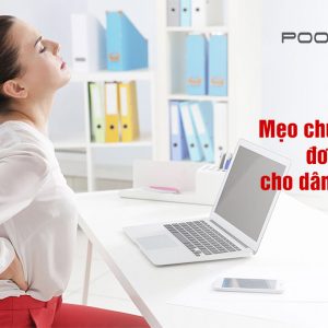 meo-chua-dau-lung-cho-dan-van-phong