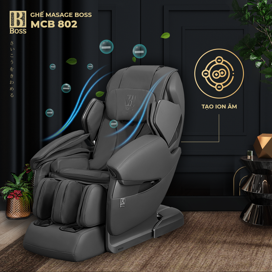 Boss MCB 802