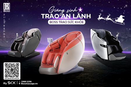 Website Boss 900x500px